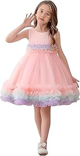 Niren Enterprise Fairy Tail Net Flared Sleeveless Ruffled Pattern Baby Girl Frock, Pack of 1